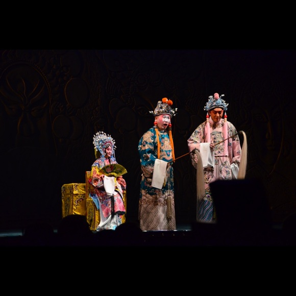 Meet your Posher, Isabel - Picture 4 of 15